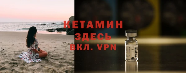сатива Ленск