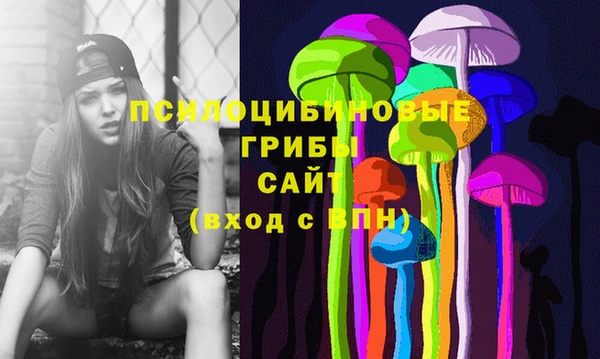 PSILOCYBIN Зеленодольск