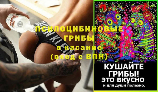 PSILOCYBIN Зеленодольск