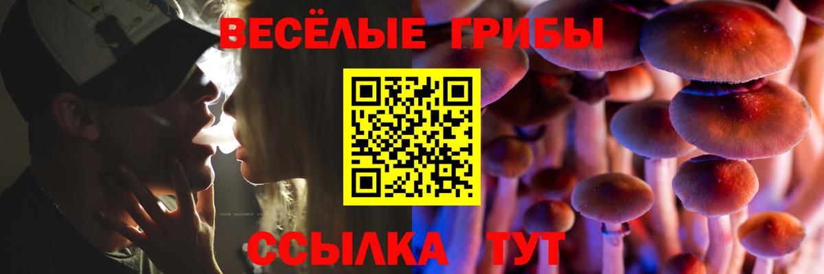 Галлюциногенные грибы MAGIC MUSHROOMS  Вход с VPN  Саянск 